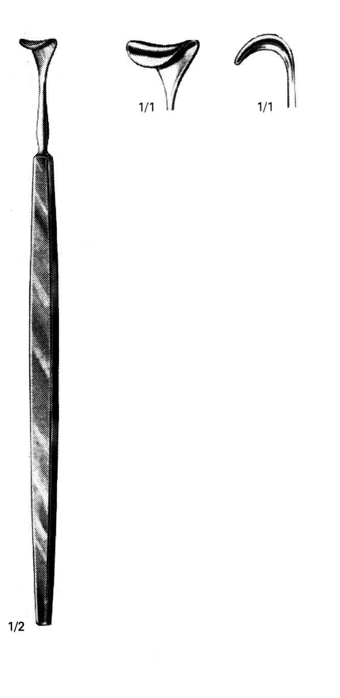 CUSHING DESMARRES EKARTÖR 19 CM